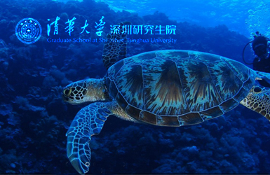 點(diǎn)擊查看清華大學(xué)深圳研究生院案例