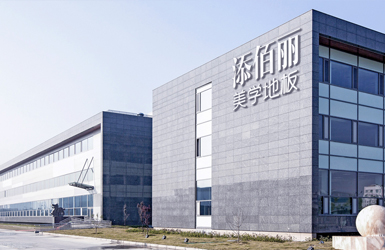 添佰麗地板網(wǎng)站設(shè)計(jì)案例